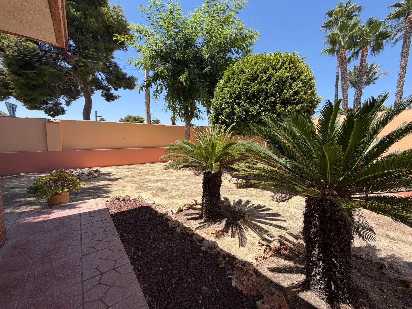 Jardí de Casa o xalet en venda en Alicante / Alacant