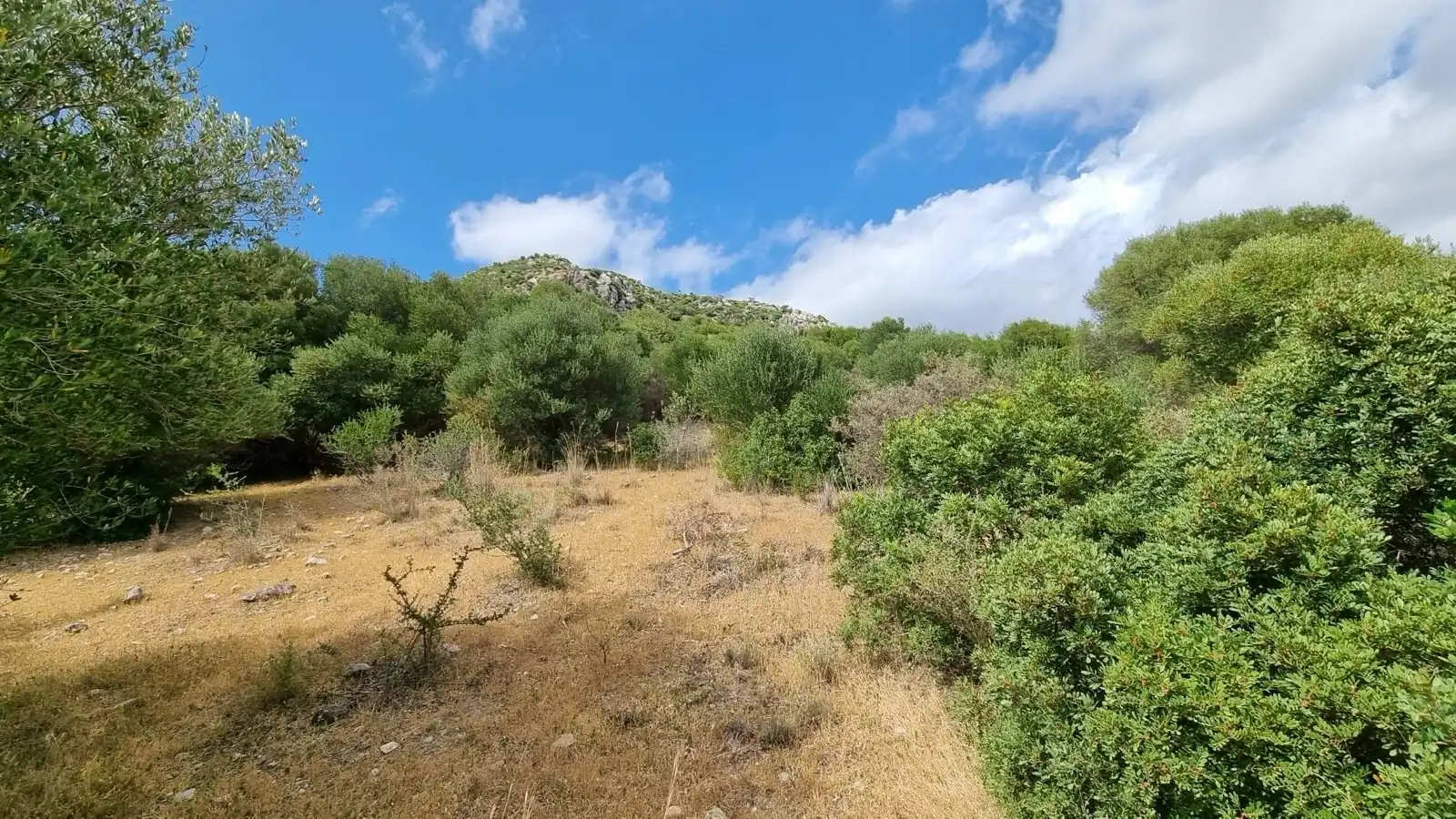 Terrenys i solars en venda a Casares pueblo, imagen 3