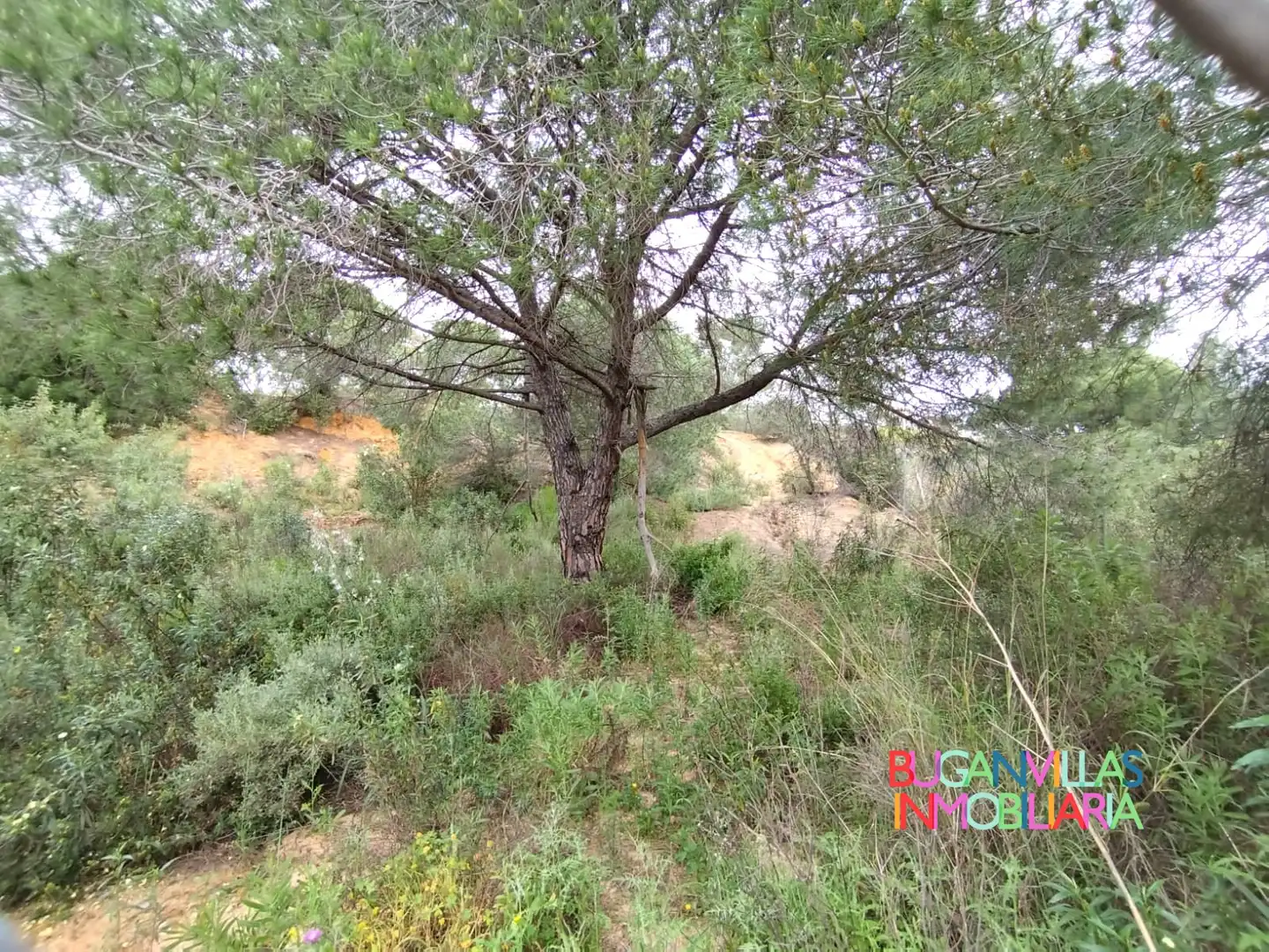 Residential for sale in Isla Cristina