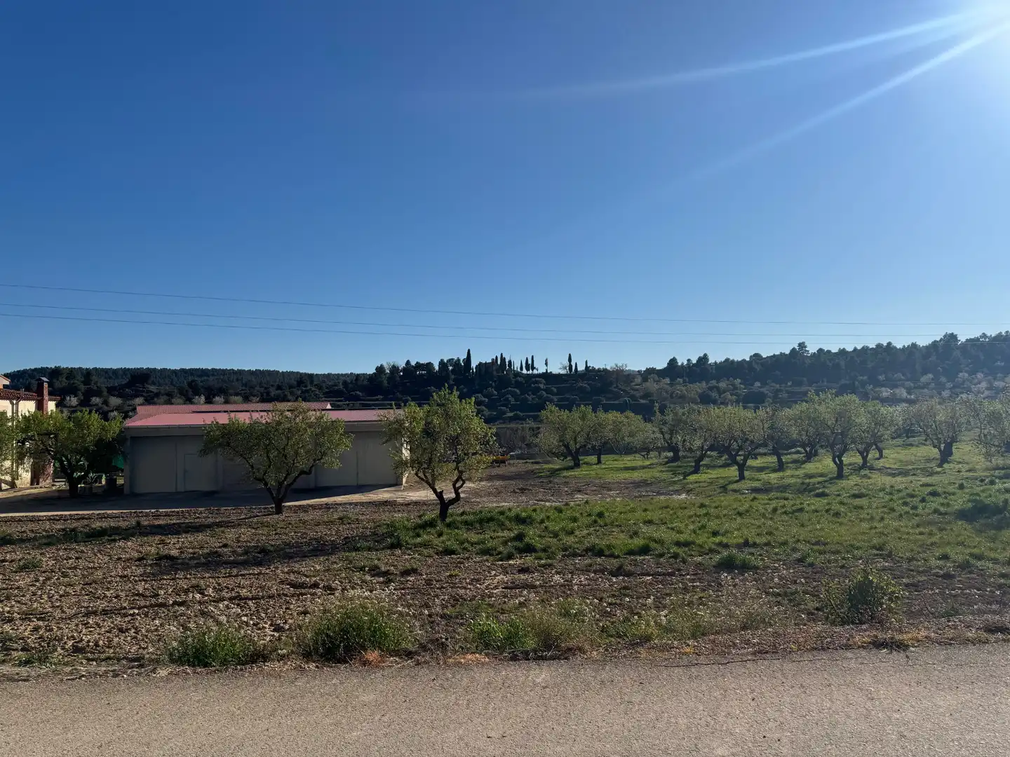 Terreni e lotti in vendita a Avenida la Virgen 10