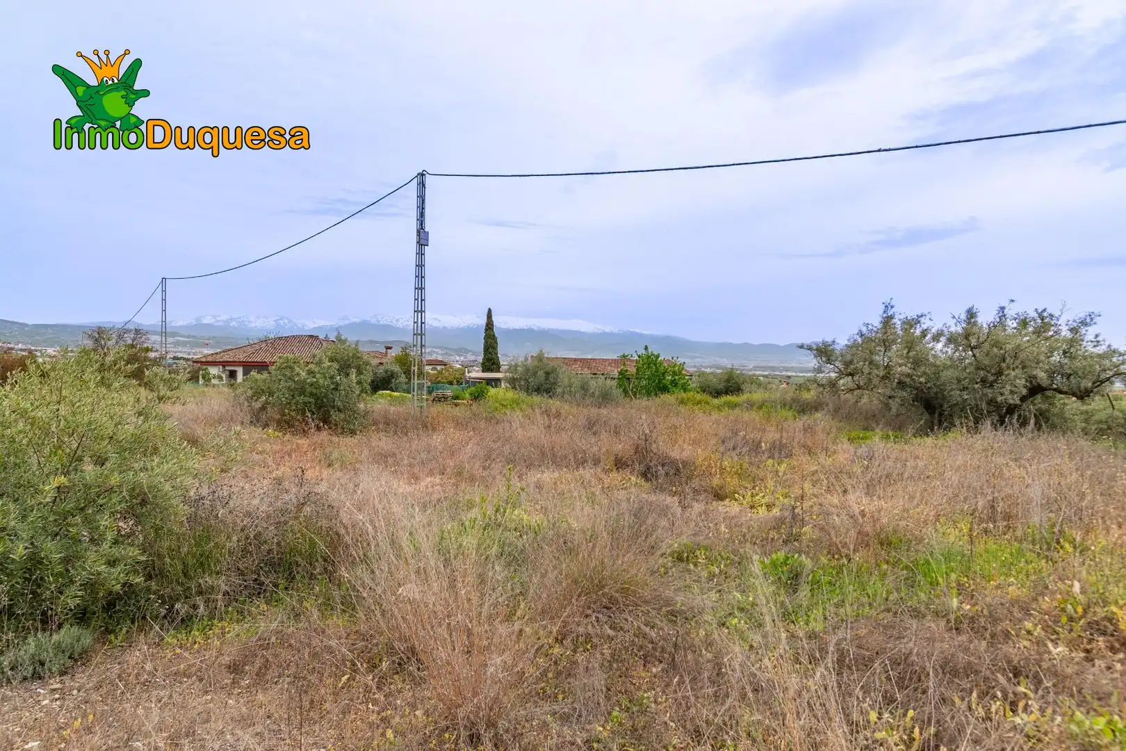 Terreni e lotti in vendita a Albolote, imagen 15