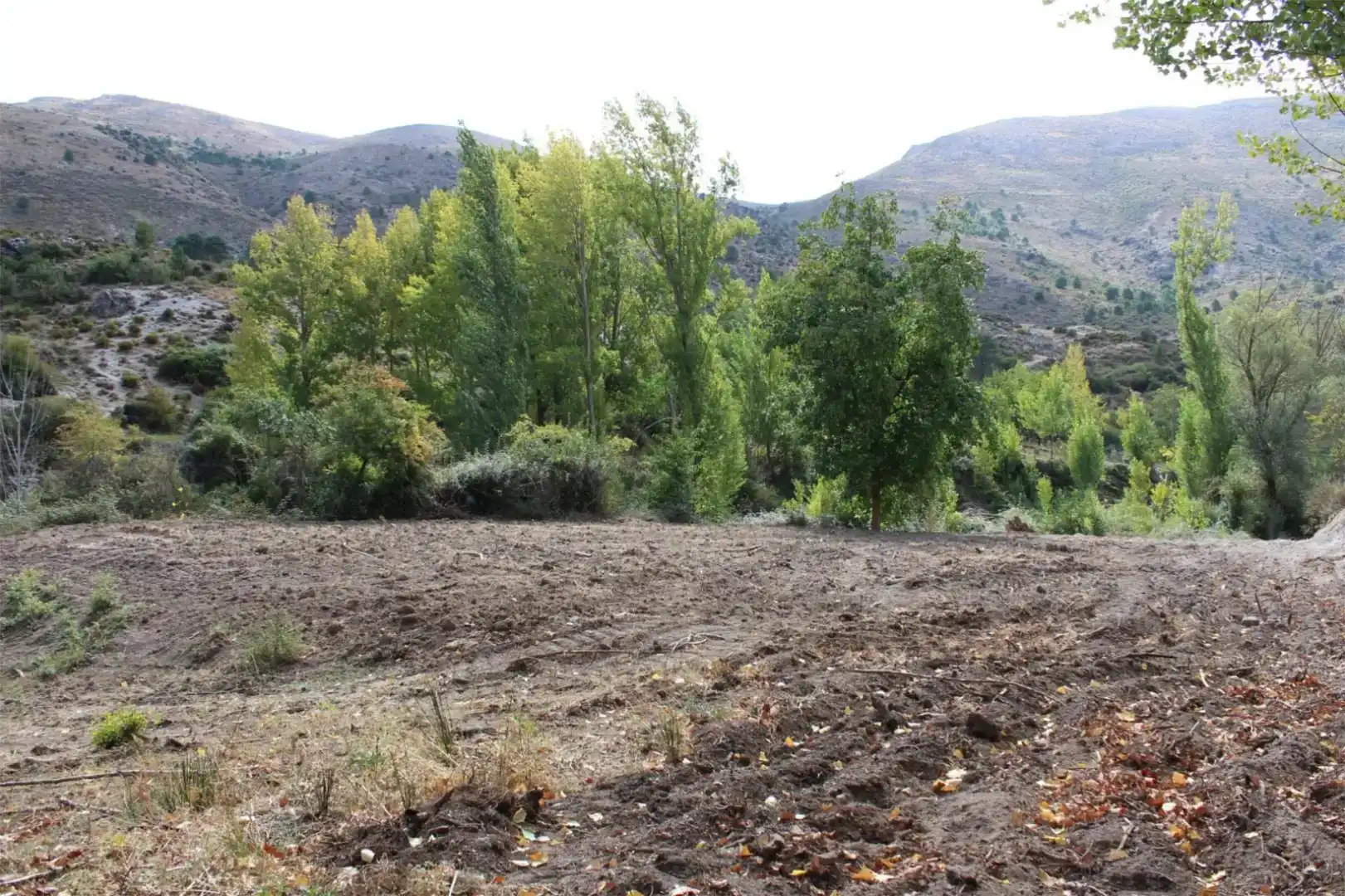 Finca rústica en venta en Quéntar