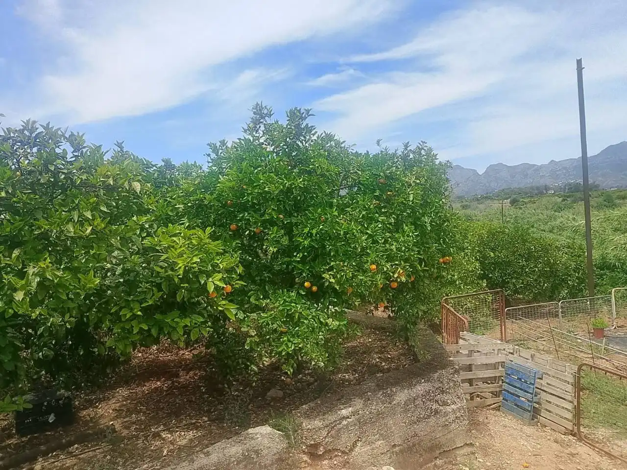 Terreny rústic en venda a Camino Puça 1, imagen 10