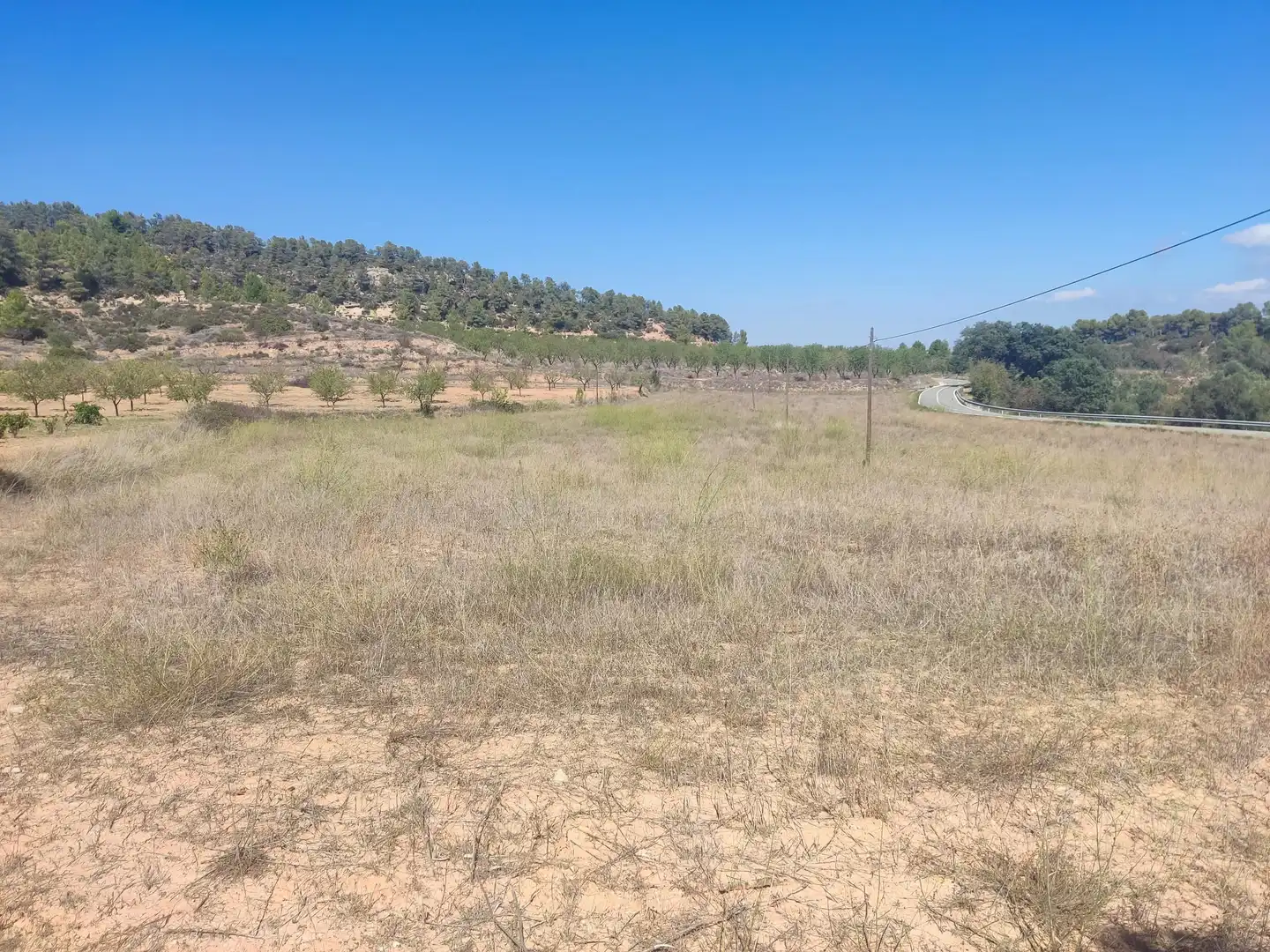 Rural land for sale in Horta de Sant Joan, imagen 3