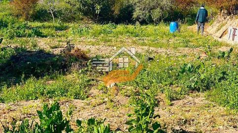Terreno Rústico en venta en VélezRubio., immagine 3
