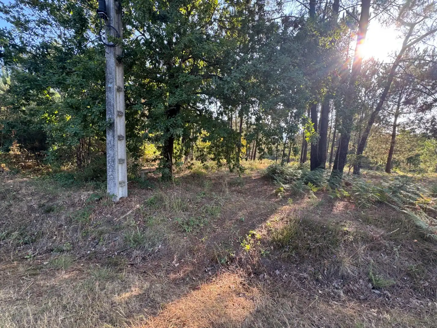 Terrenos y solares en venta en Lugar de Costeira, imagen 6
