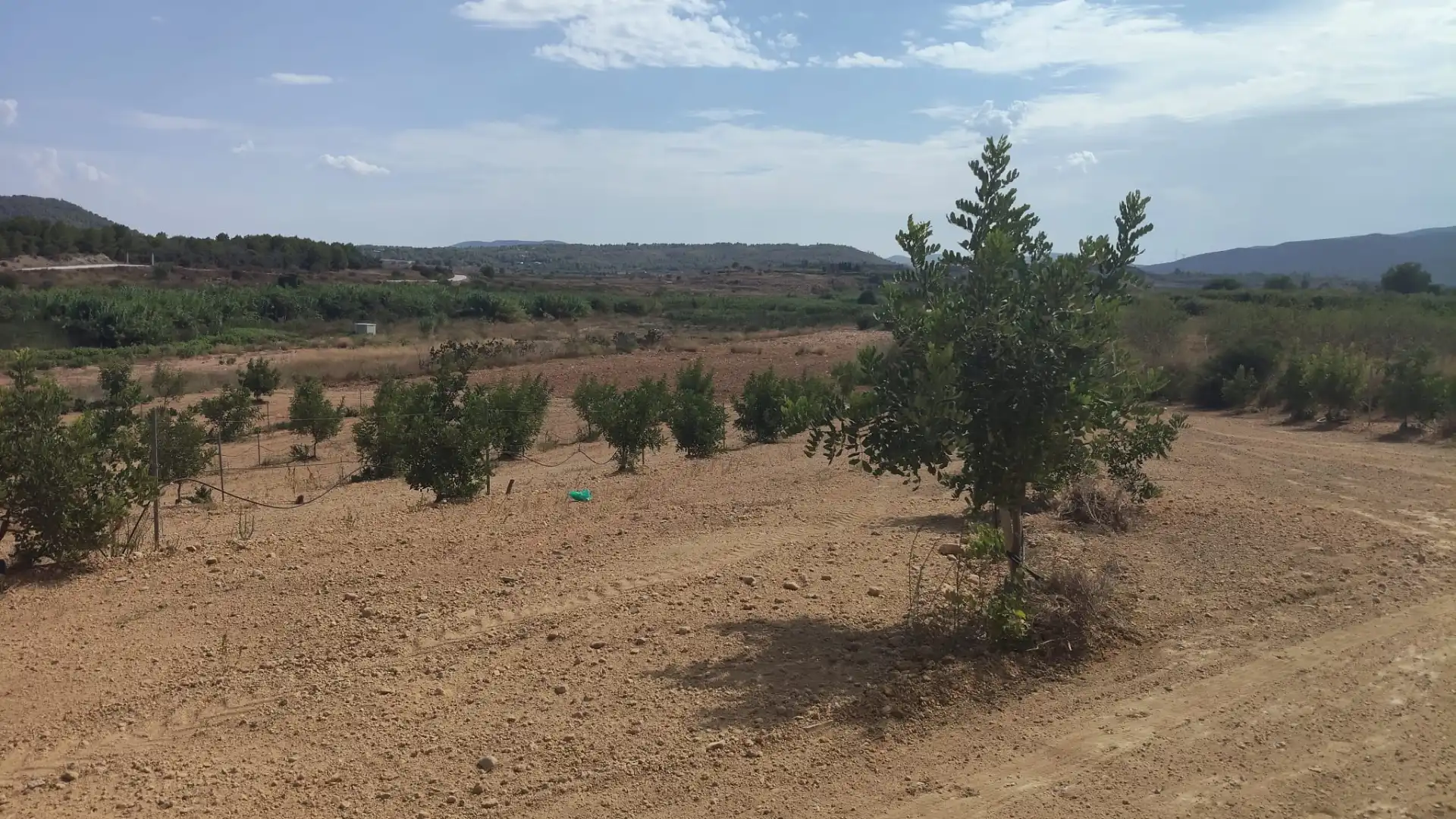 Terreny rústic en venda a Turís, imagen 4