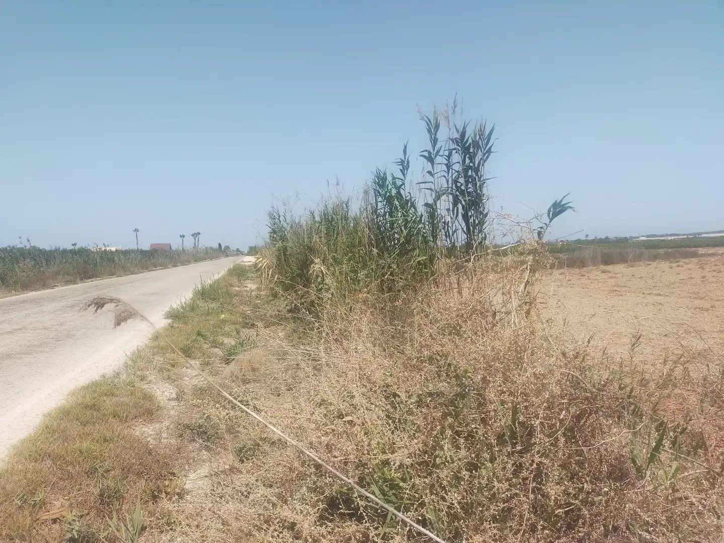 Terrain rustique à vendre à La Foia - Daimés - Asprella, imagen 5