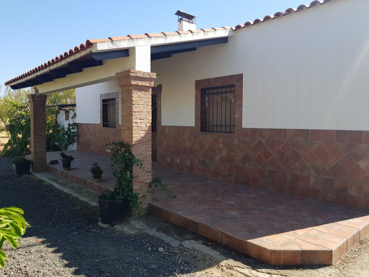 Vista exterior de Casa o chalet en venta en Hinojosa del Duque con Calefacción y Jardín privado