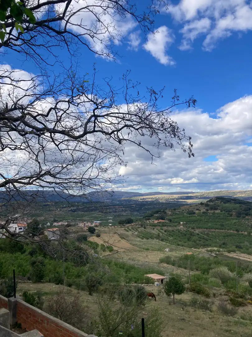 Vista exterior de Apartamento en venta en Benassal con Amueblado