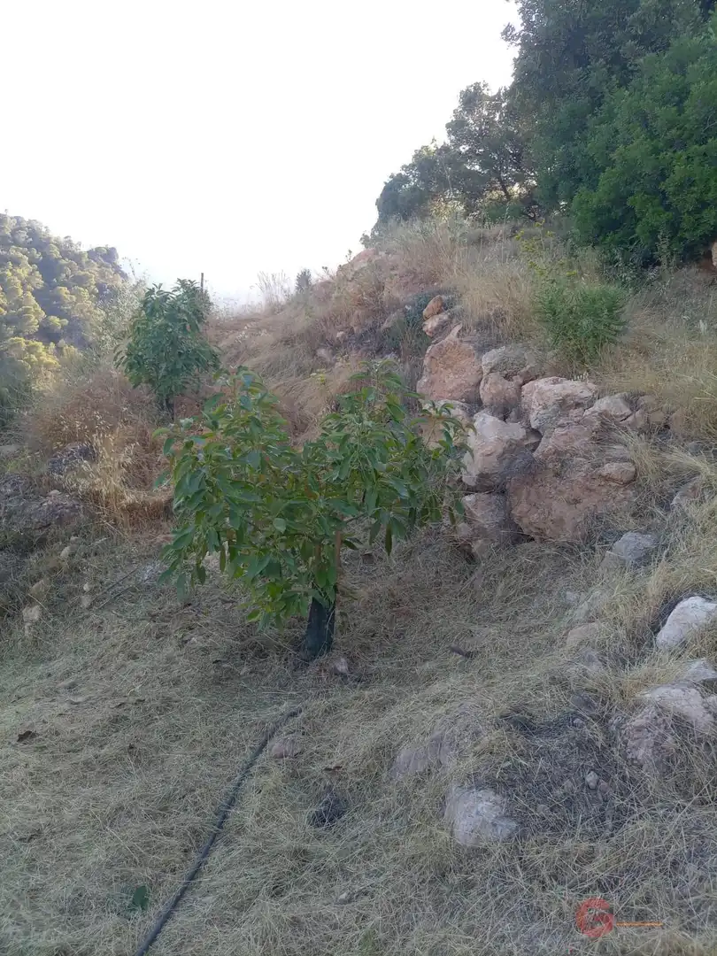 Terrenys i solars en venda a Los Guájares, imagen 5