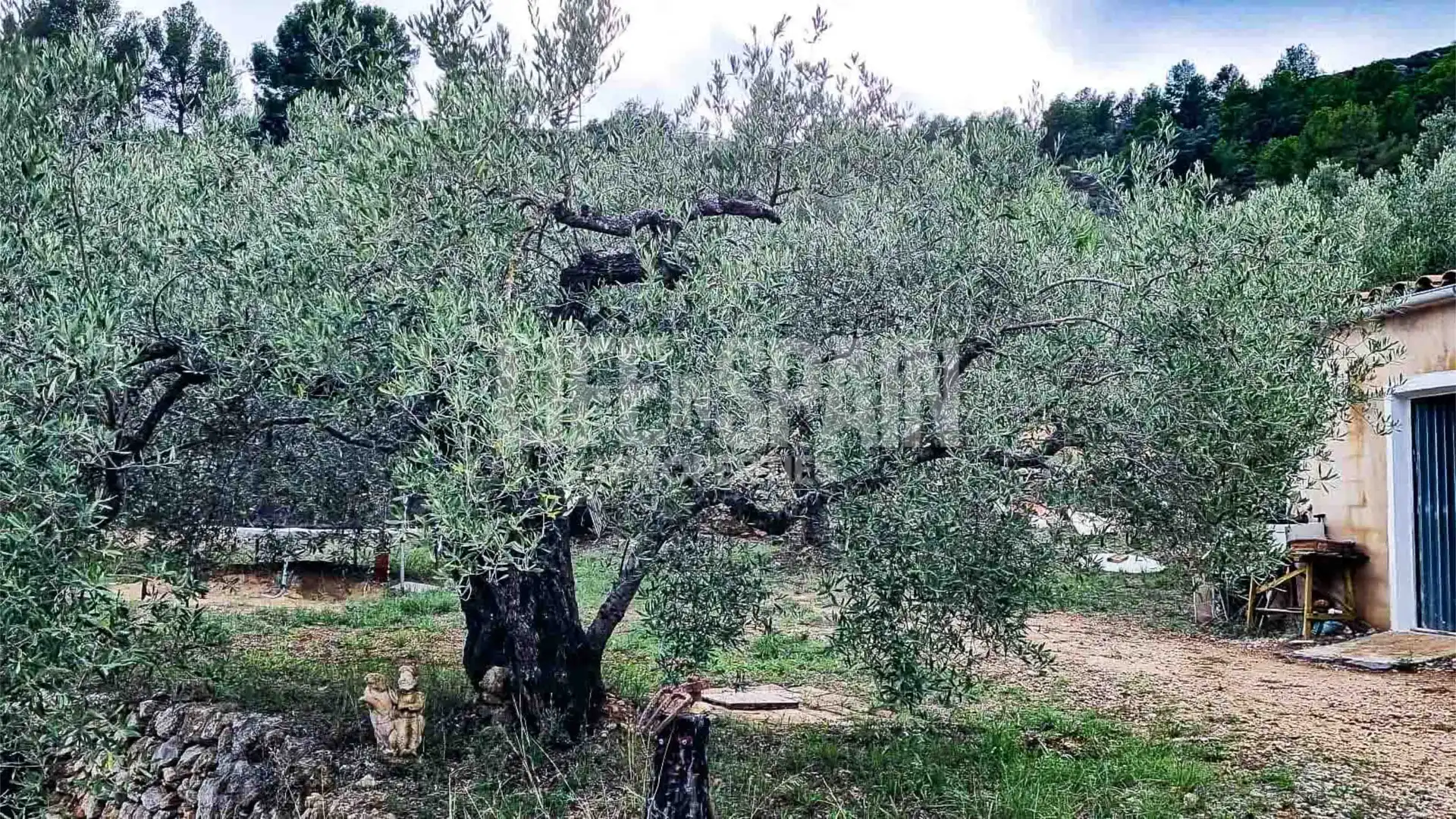 Finca rústica en venta en Bítem