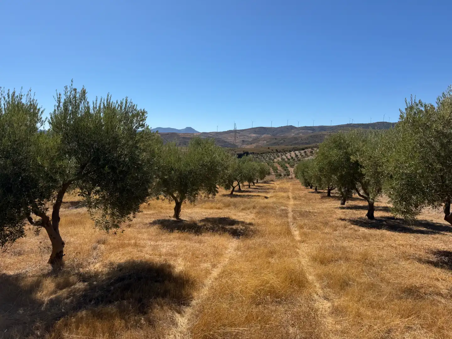 Terreno rustico in vendita a Camino de la Sierra, imagen 8
