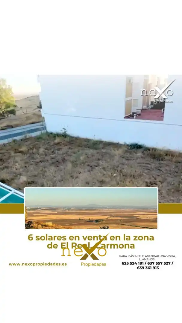 Terreni e lotti in vendita a Carmona