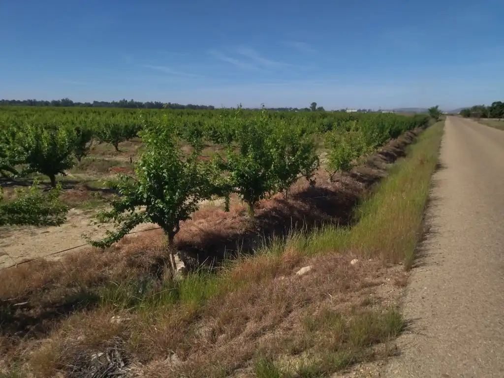 Terreno en venta en Campo Lugar
