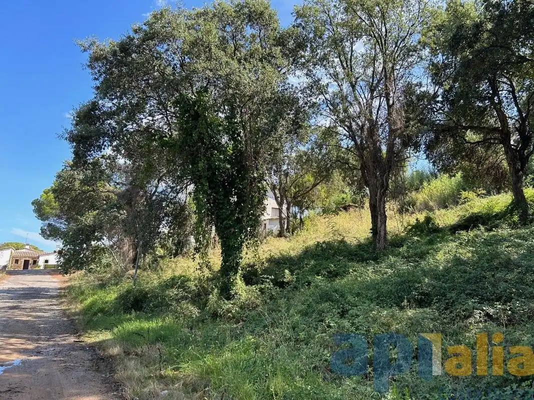 Terreno residenziale in vendita a Carrer Herentale, imagen 6