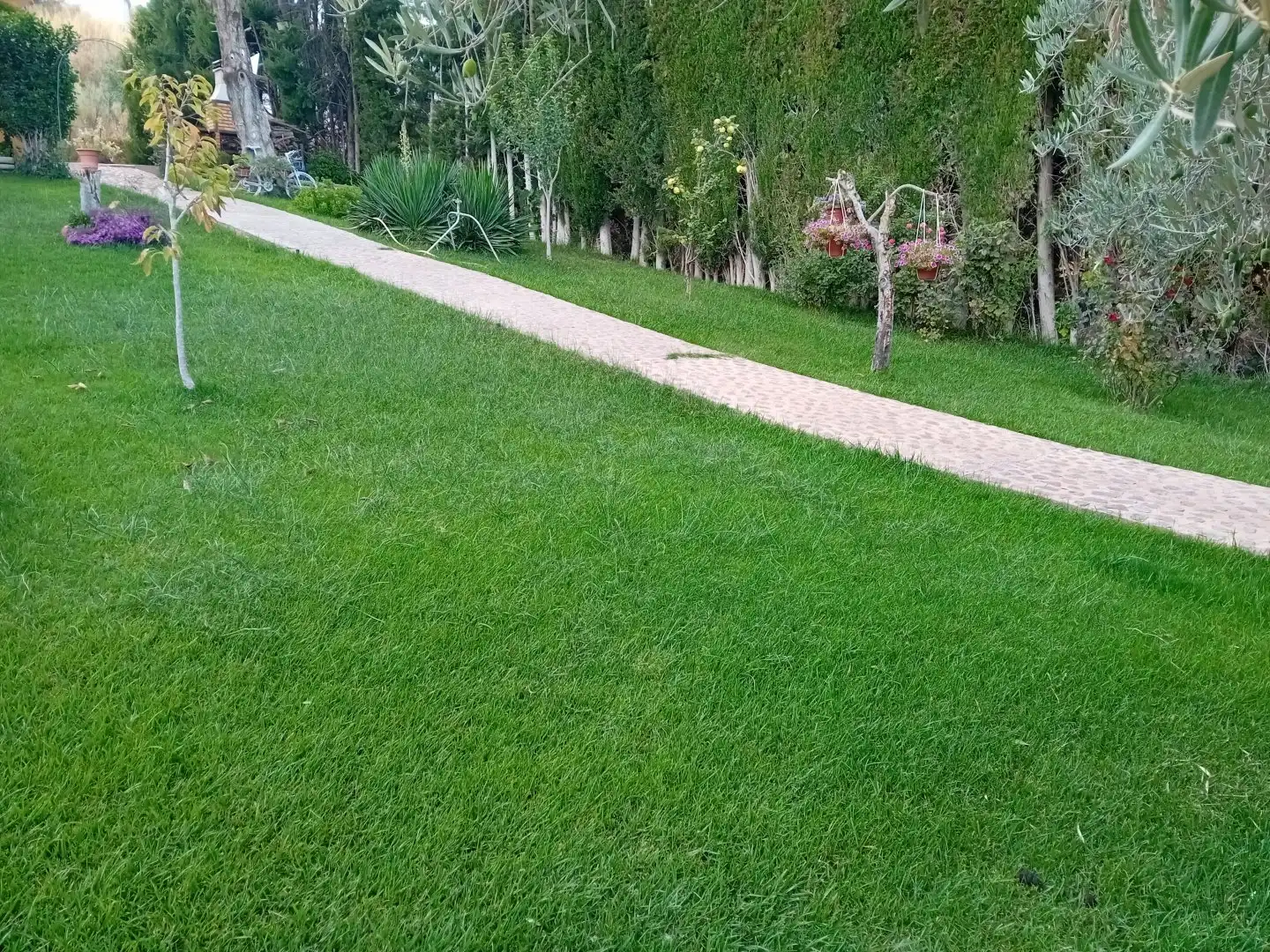 Jardín de Casa o chalet en venta en Picón con Aire acondicionado, Calefacción y Jardín privado