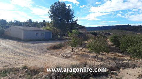 Foto 3 de Finca rústica en venda a Caspe, Zaragoza