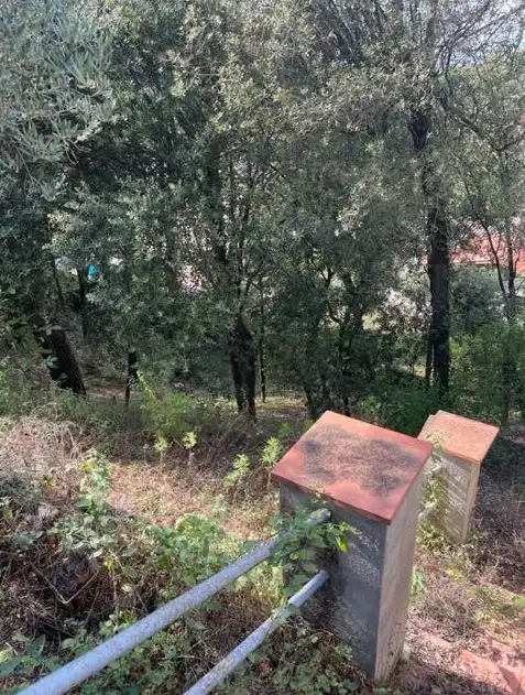 Terreno residenziale in vendita a Taradell, imagen 7