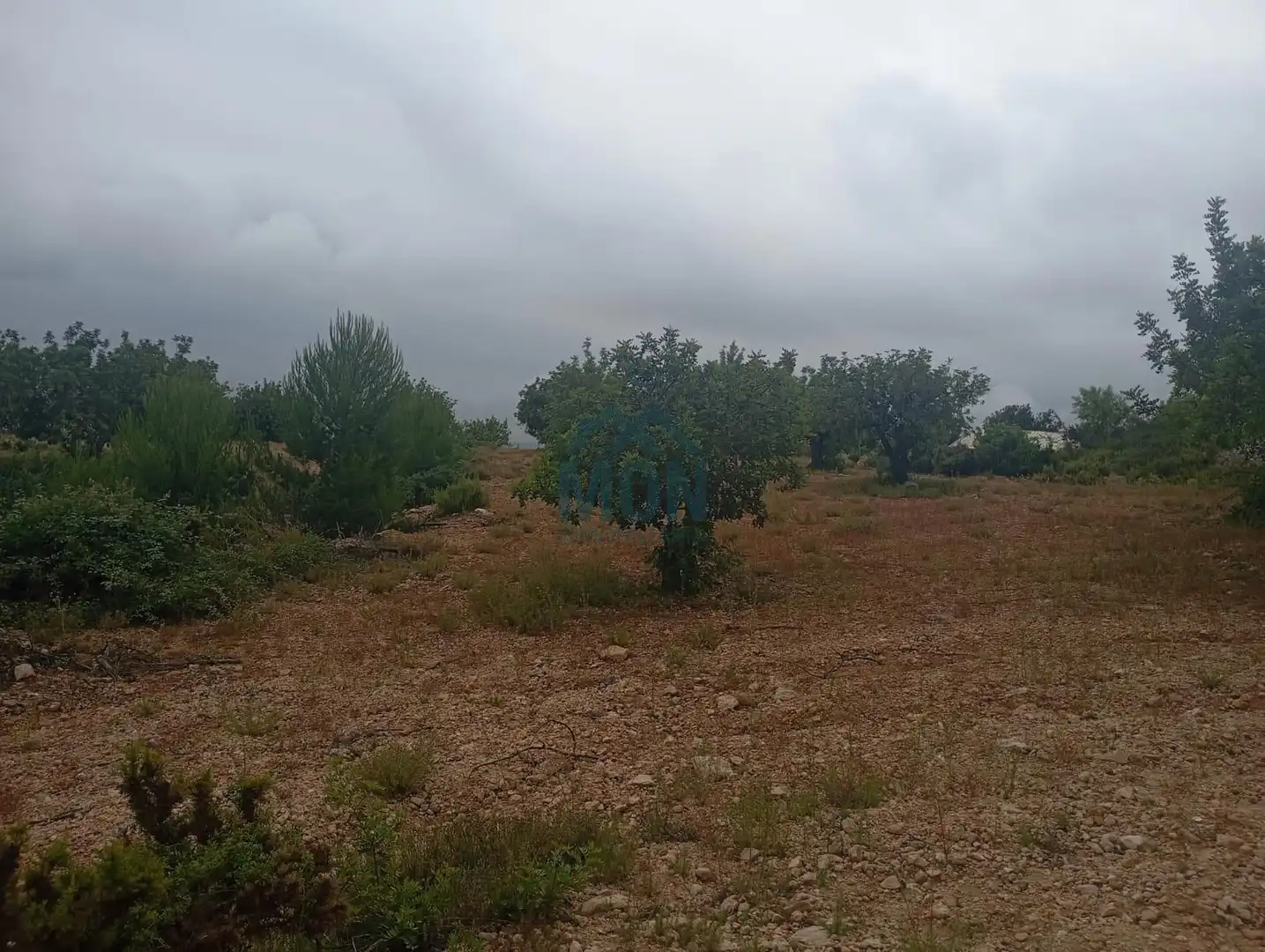 Terreno rustico in vendita a Buñol, imagen 11