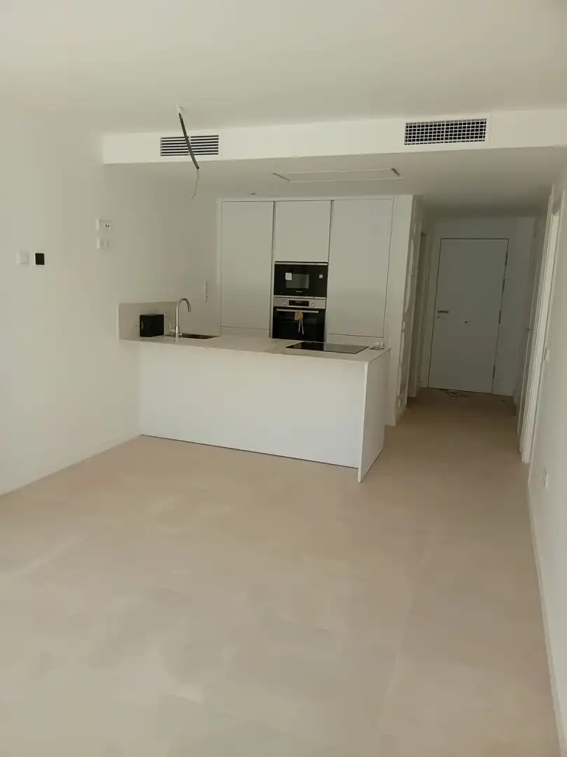 Apartamento con piscina en venta en Martínez Catena, imagen 16