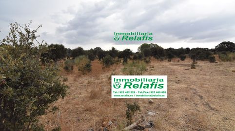 Finca Rúst. en venta en Agregado Ivanrey., imatge 3