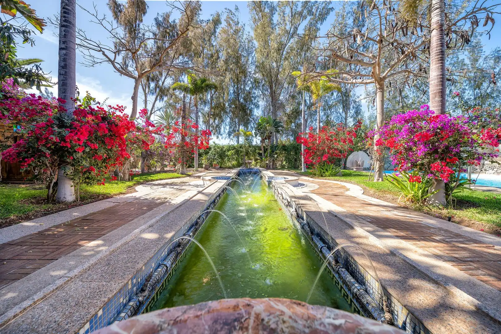 Jardí de Casa o xalet en venda en San Bartolomé de Tirajana amb Jardí privat, Terrassa i Traster