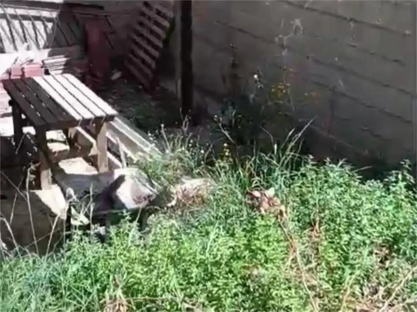 Planta baixa en venda en Aigües amb Jardí privat, Traster i Balcó