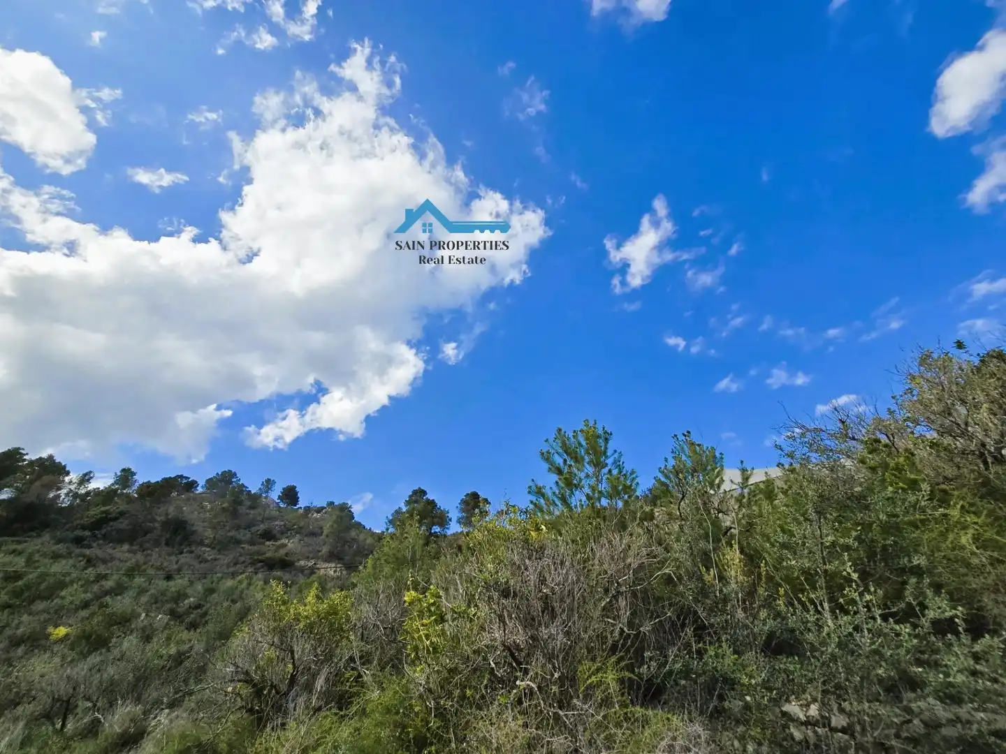 Terreny rústic en venda a Callosa d'en Sarrià, imagen 20
