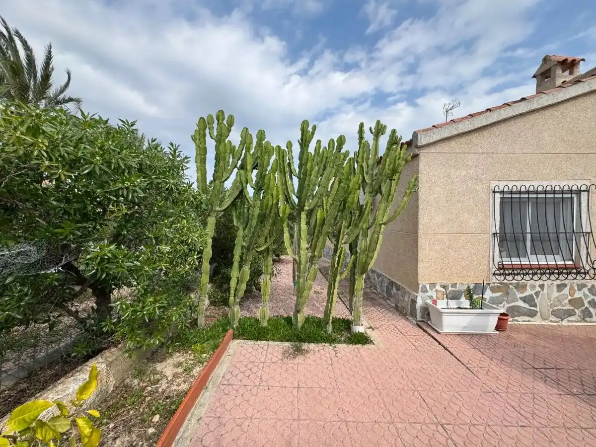 Jardín de Casa o chalet en venta en Rojales con Jardín privado