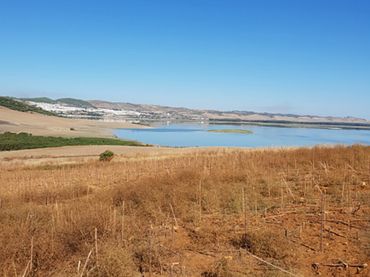 Terreni e lotti in vendita a Arcos de la Frontera
