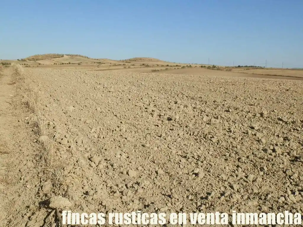 Terreni e lotti in vendita a Bargas, imagen 6