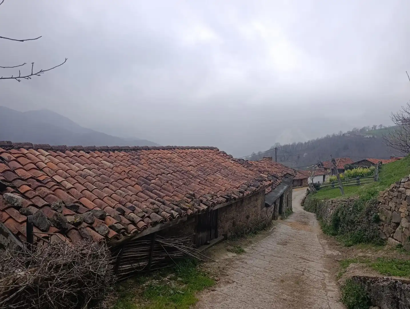 Vista exterior de Finca rústica en venta en Caso