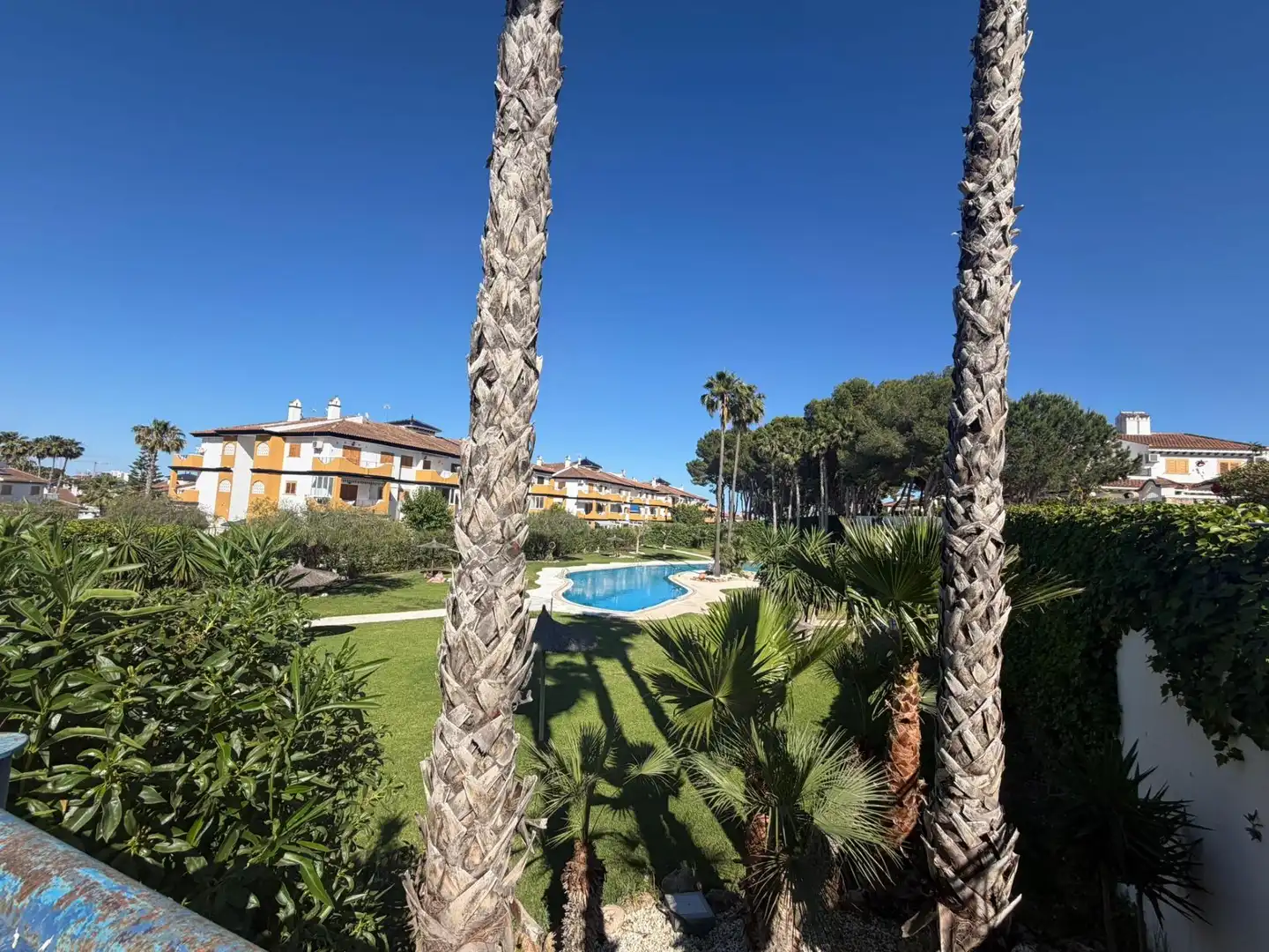 Jardí de Casa o xalet de lloguer en Pilar de la Horadada amb Terrassa i Piscina comunitària