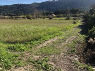 Terreno rustico in vendita a N/A