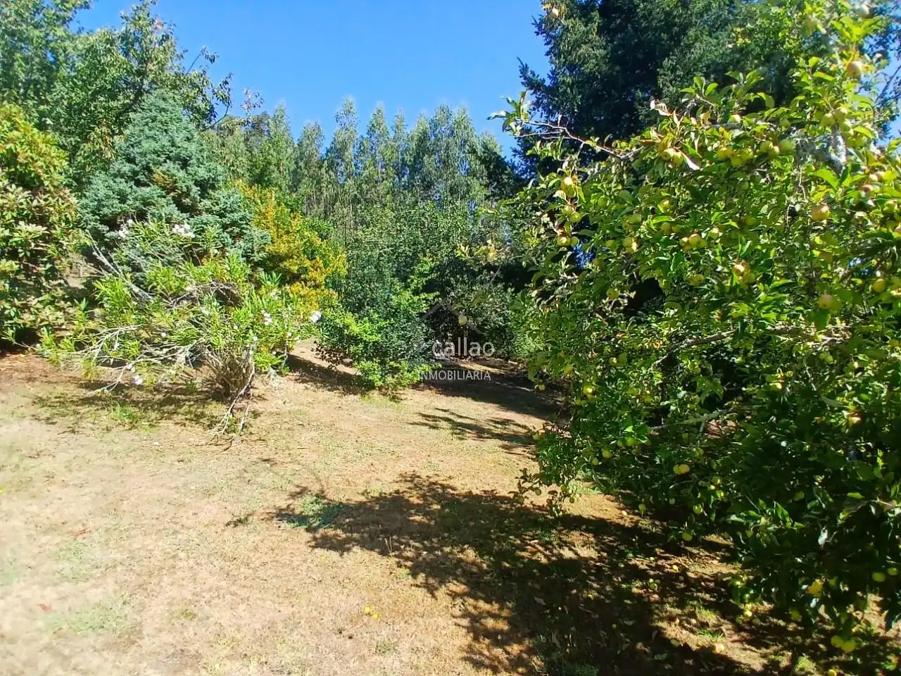Casa o xalet en venda en San Sadurniño amb Jardí privat i Moblat