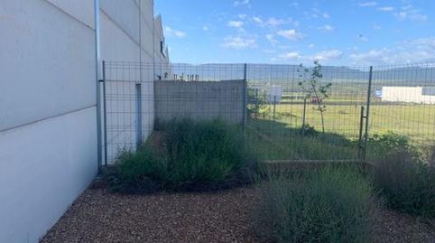 Photo 5 of Industrial buildings for sale in N-420, 2, PAU 2-600, Ciudad Real
