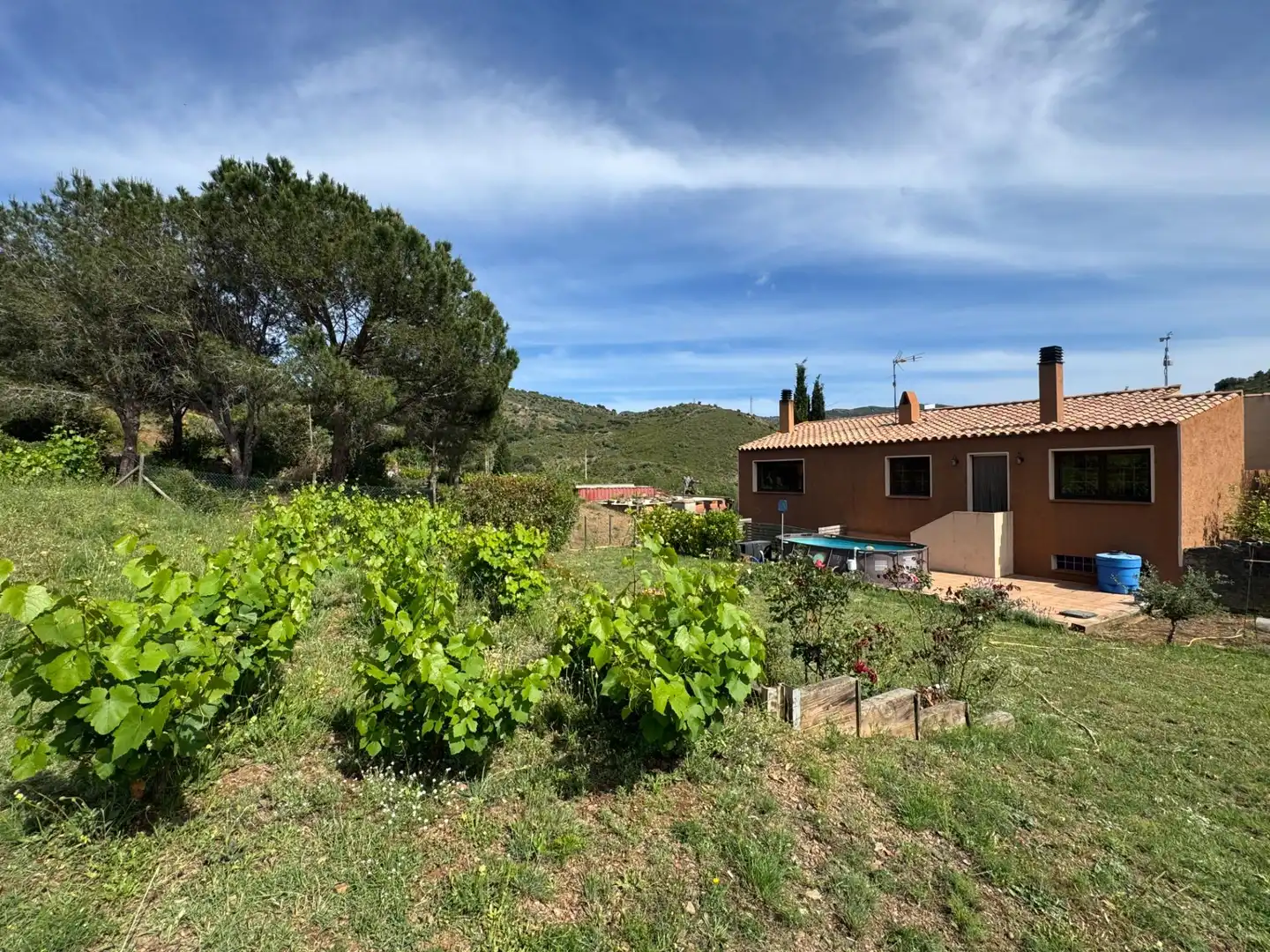 Casa o xalet en venda en Llançà amb Aire condicionat, Calefacció i Jardí privat