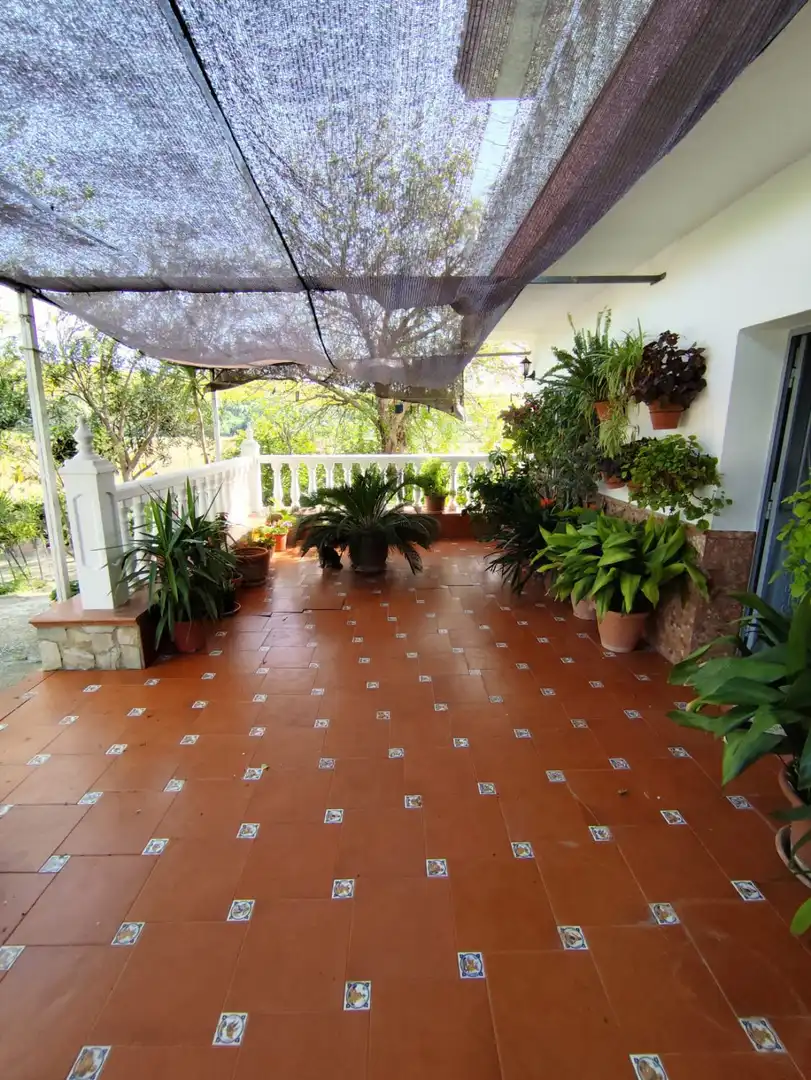 Casa rústica en venda a Arcos de la Frontera, imagen 5