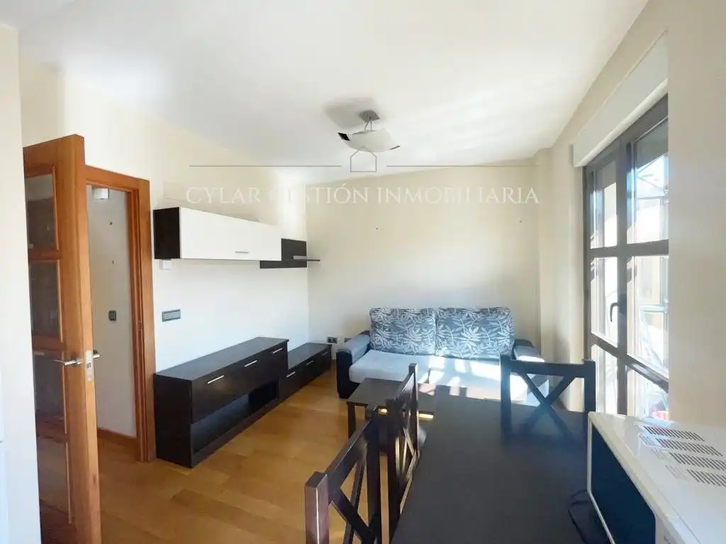 Sala de estar de Piso de alquiler en Salamanca con Calefacción, Parquet y Amueblado