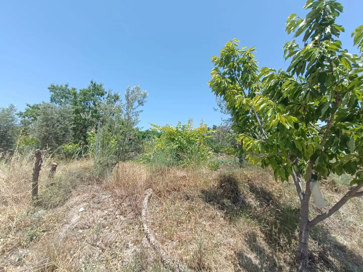 Finca rústica en venta en Vélez-Blanco con Aire acondicionado, Jardín privado y Terraza