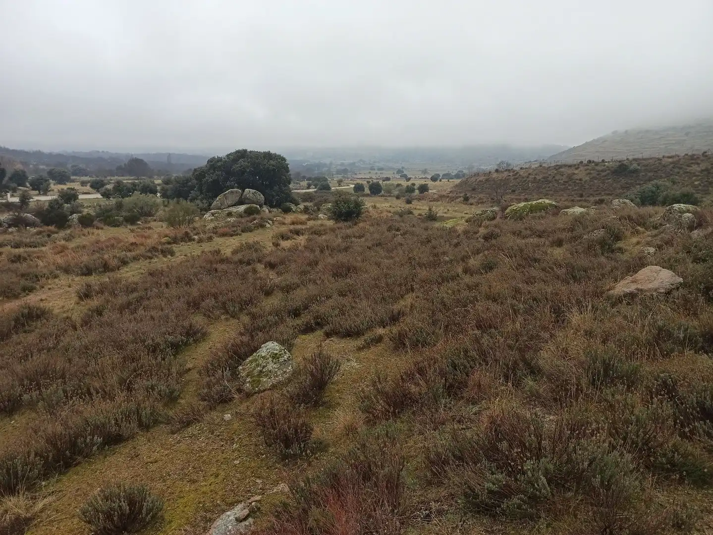Terreno rustico in vendita a Zarzalejo, imagen 16