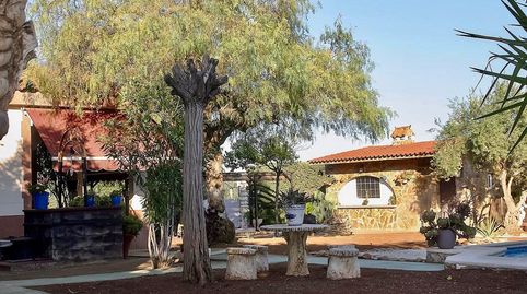 Foto 3 de Casa o chalet en venta en Almendralejo, Badajoz