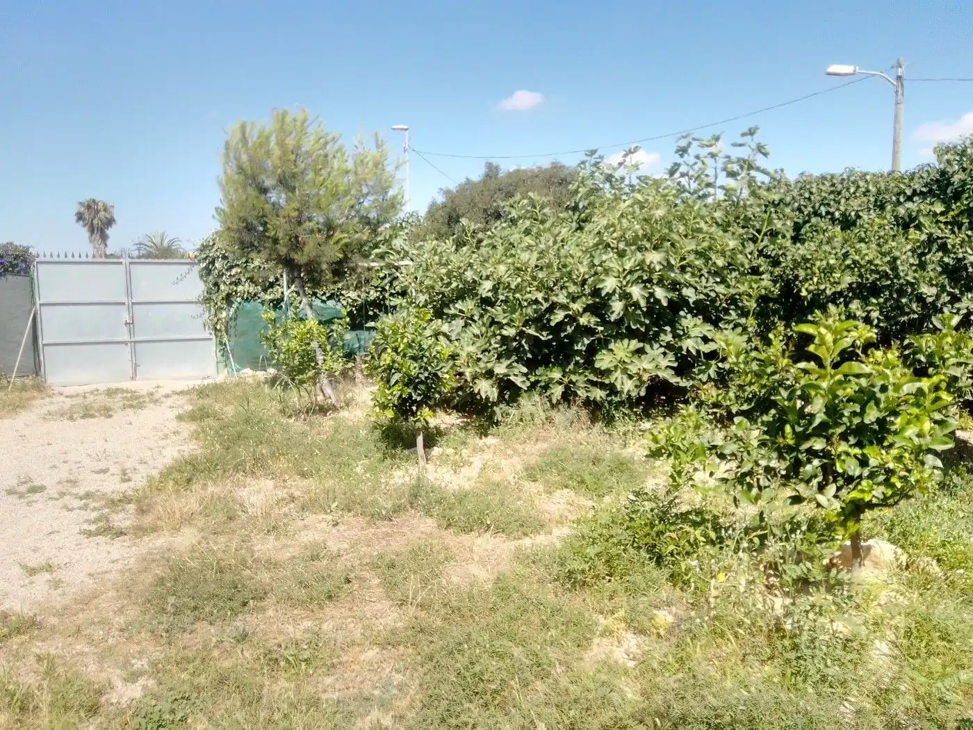 Casa o xalet en venda en Torre-Pacheco amb Terrassa, Traster i Piscina