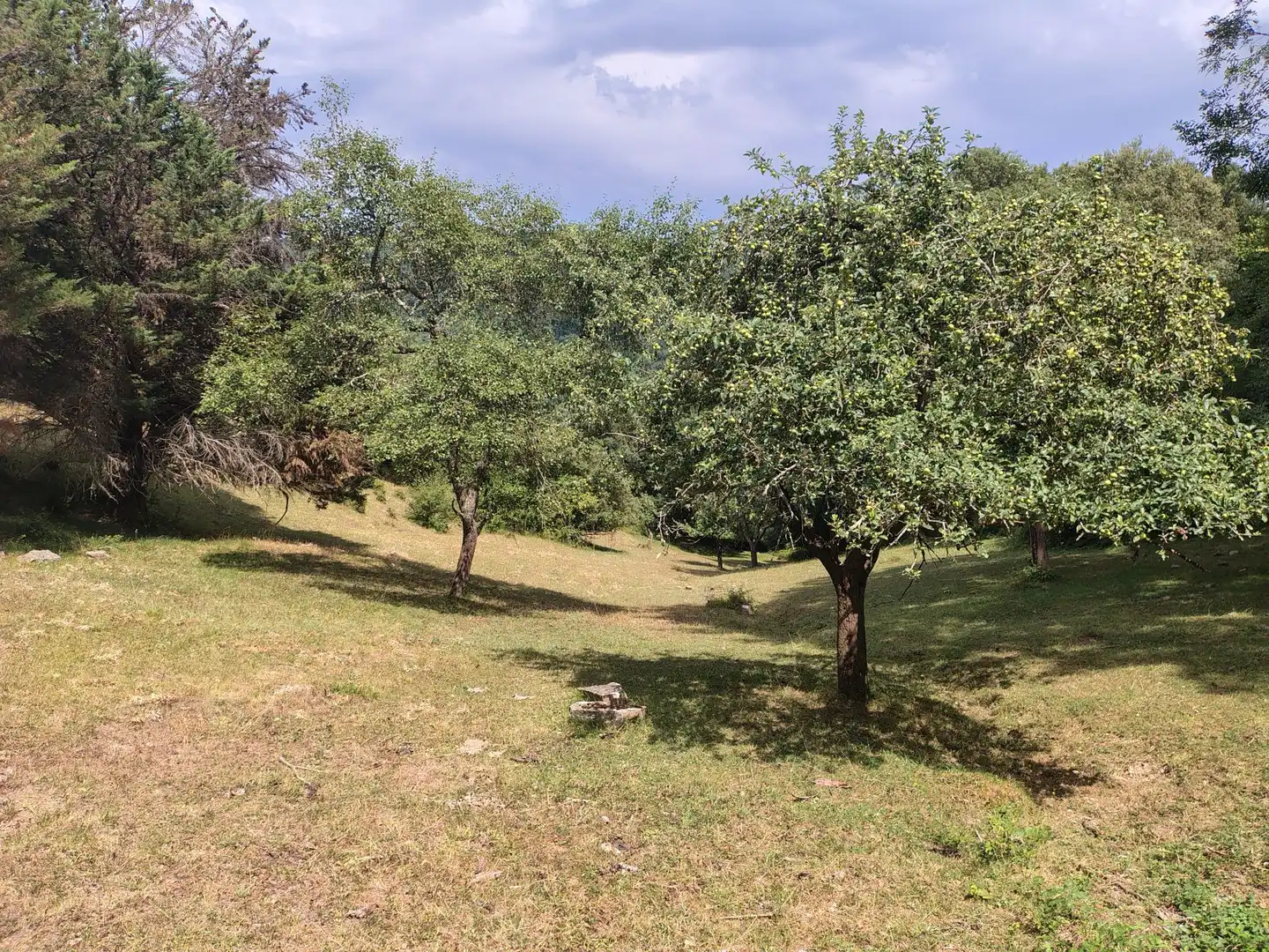 Finca rústica en venda en Urduña / Orduña