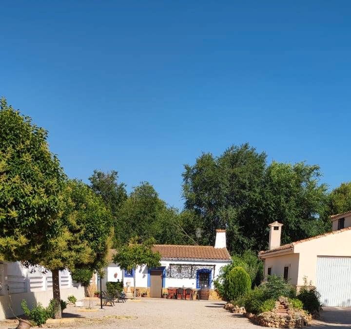 Vista exterior de Casa o xalet en venda en  Albacete Capital amb Aire condicionat, Calefacció i Jardí privat