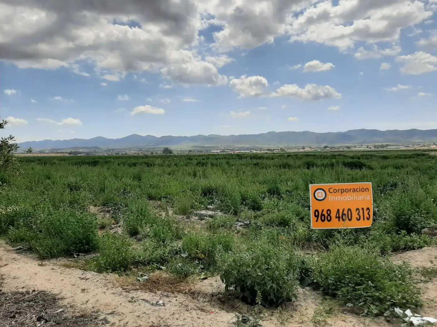 Terreny residencial en venda a Pedanías Centro, imagen 2