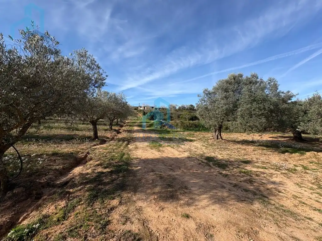 Finca rústica en venta en Gandesa