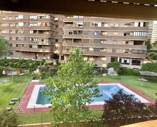 Swimming pool of Study to rent in  Madrid Capital  with Swimming Pool