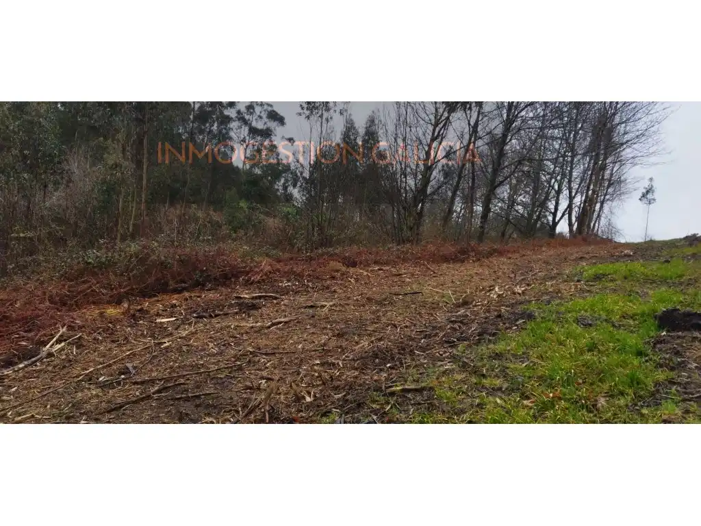Maison à vendre à Carballo, imagen 41